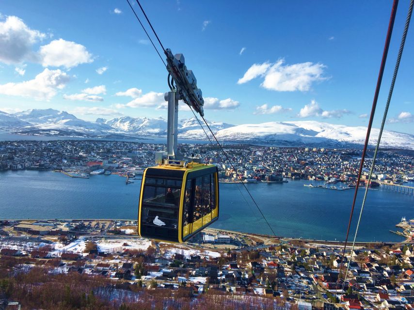 Tromso: Northern Lights Cable Car Excursion - Key points to know before you book