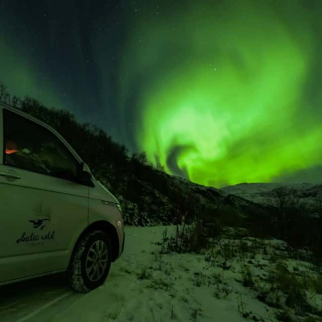 Tromsø: Northern Lights Chase by a comfortable bus - Key points to know before you book