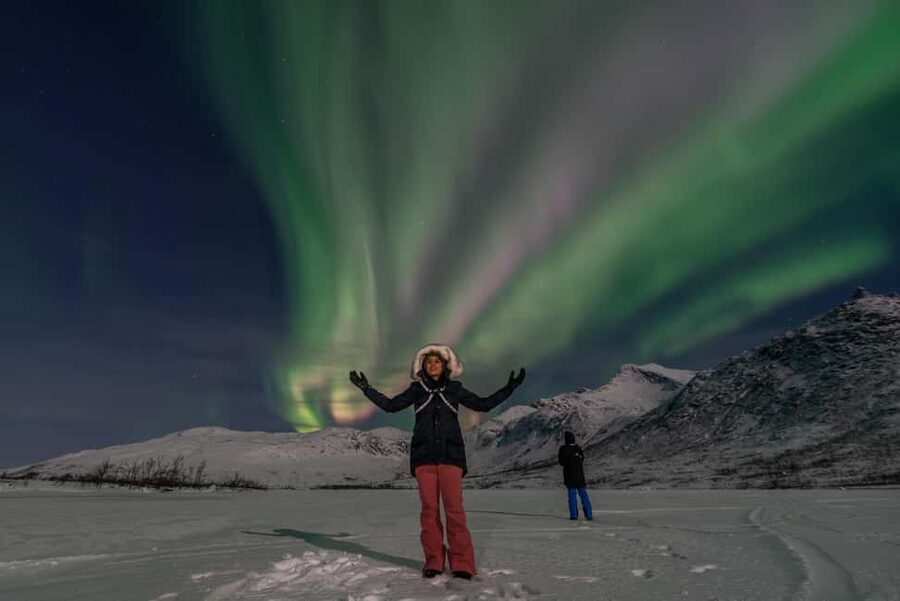 Tromsø: Northern Lights Chase by a comfortable bus - Is $152 a fair price?