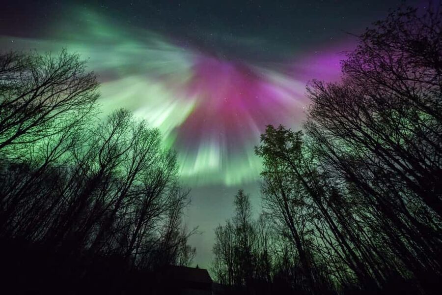 Tromsø: Northern Lights Chase + Free Professional Photos - The value of an eight-hour, $196 experience