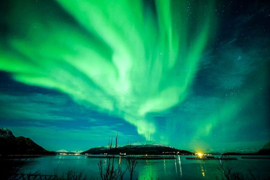 Tromsø: Northern Lights Chase Minibus Tour - Thermal suits help, but your own clothing matters more