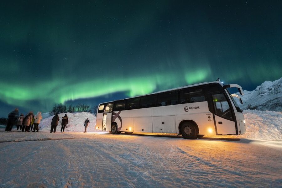 Tromso: Northern Lights Chase with Photo Package Included - The waiting game beneath the Arctic sky
