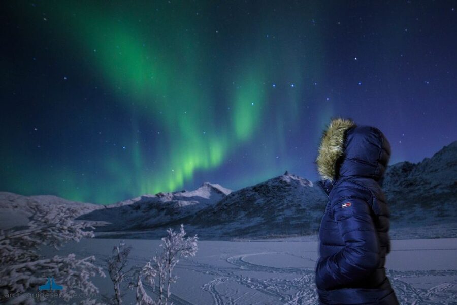 Tromso: Northern Lights Chase with Photo Package Included - Is $135 a fair price?