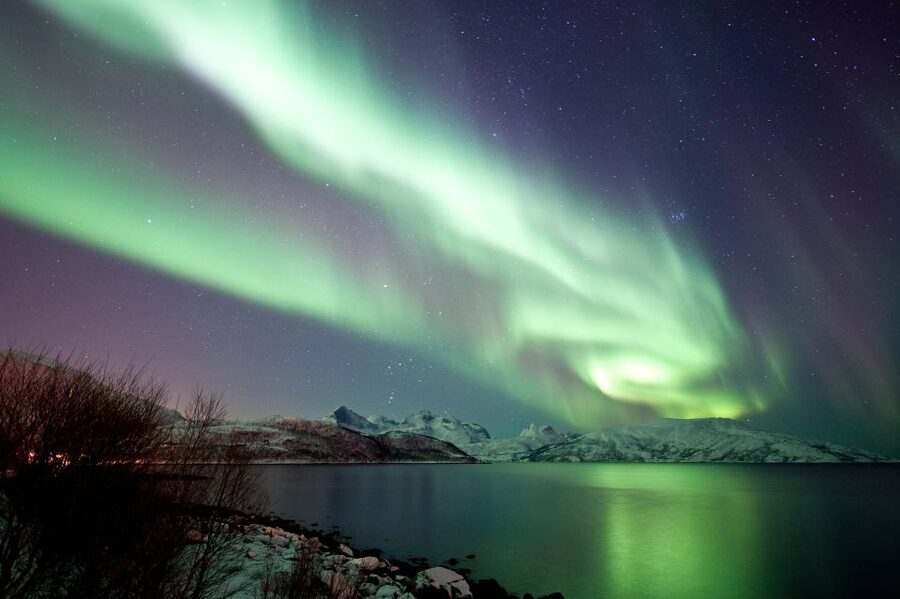 Tromsø: Northern Lights Cruise with 2nd Chance Guarantee - Key points before you book