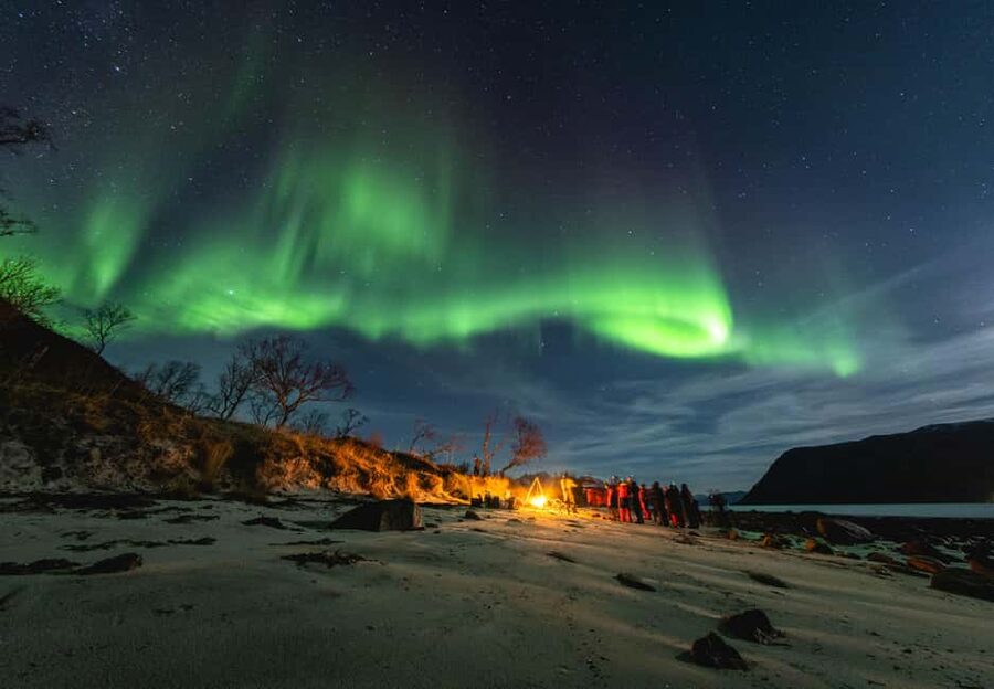 Tromsø: Northern Lights Focus Tour, German/English, minibus, meal - Why this Tromsø aurora tour feels different