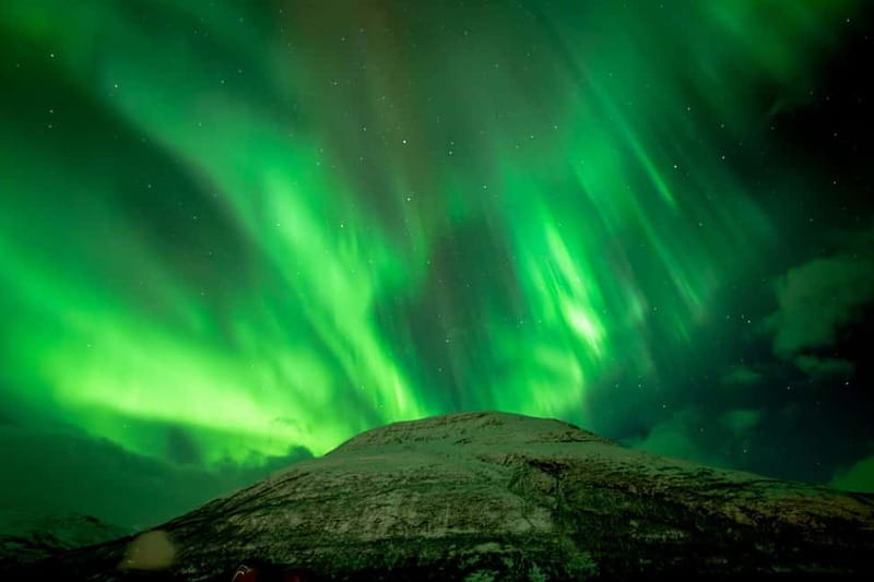 Tromsø: Northern Lights Focus Tour, German/English, minibus, meal - Dinner beside the campfire
