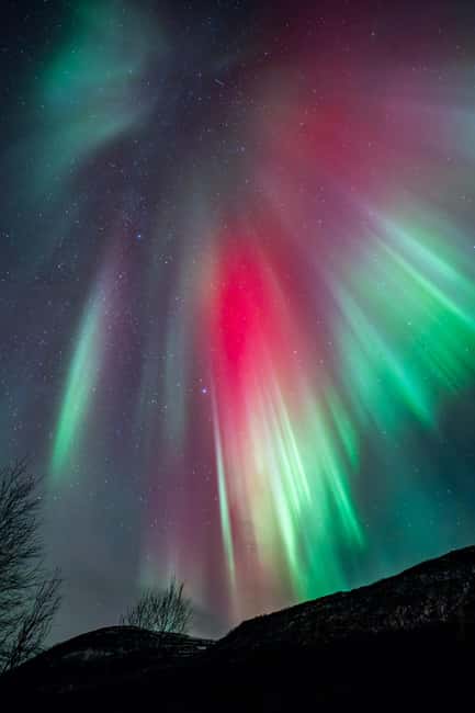 Tromsø: Northern Lights Focus Tour, German/English, minibus, meal - Is $215 a fair price?