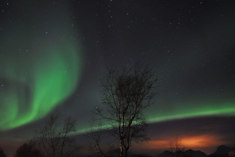 Tromsø: Northern Lights Husky Visit with Traditional Dinner - Key points to know before you go