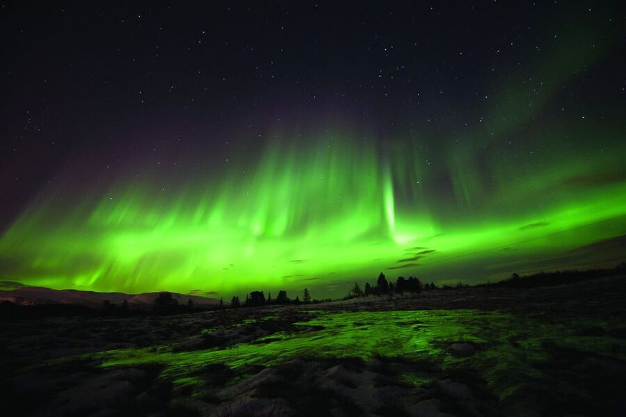 Tromsø: Northern Lights Husky Visit with Traditional Dinner - What the $187 price includes