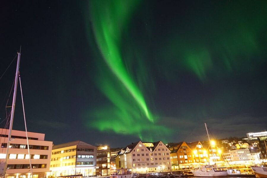 Tromsø: Northern Lights Luxury Catamaran Cruise - Who should choose this cruise?