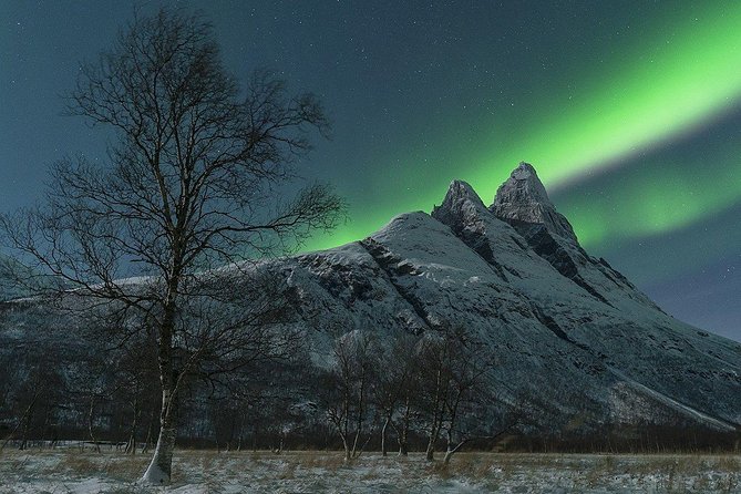Tromso Northern Lights Minibus Chase Small Group Tour with Photos - Who will enjoy this tour most