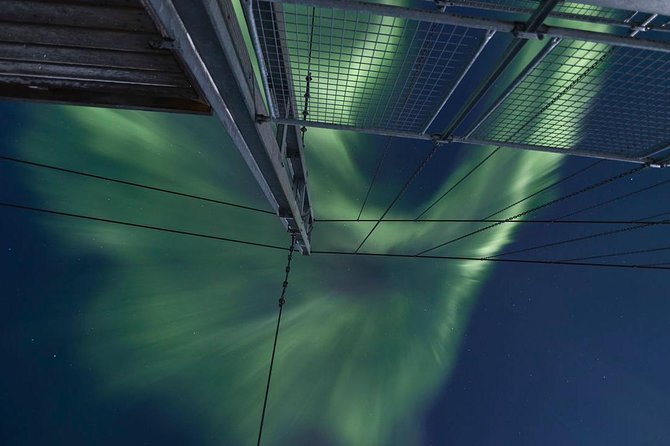 Tromso Northern Lights Minibus Chase Small Group Tour with Photos - The minibus chase and the long northern night