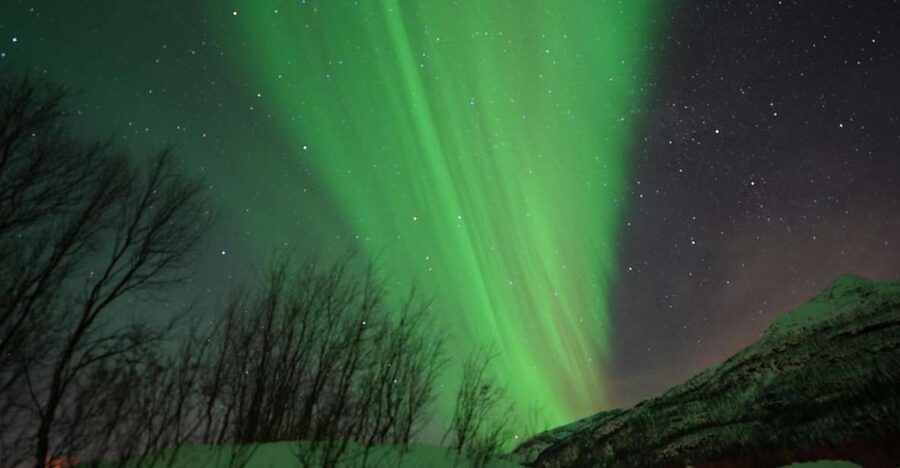 Tromsø: Northern Lights Minibus Small Private Tour Group - The details that matter most