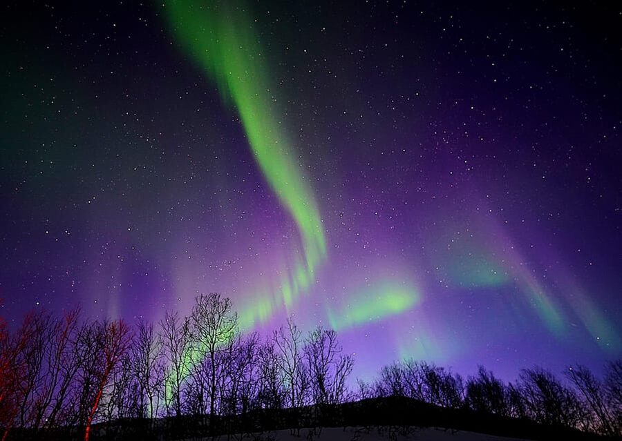Tromso: Northern Lights Minibus Tour with Campfire - Key Points Before You Book