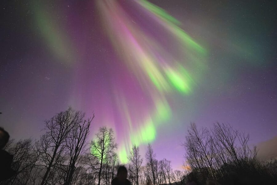 Tromso: Northern Lights Minibus Tour with Campfire - From Tromsø’s Center to the First Dark-Sky Stop