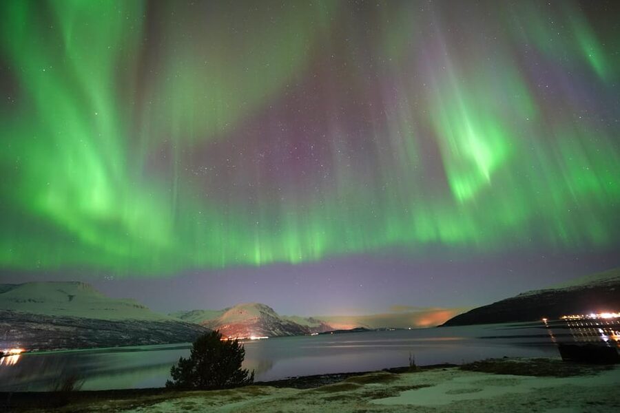 Tromso: Northern Lights Minibus Tour with Campfire - Why the Weather Chase Matters