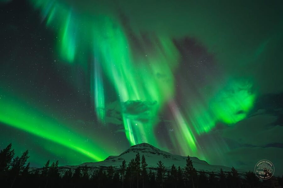 Tromsø: Northern Lights Photography Small-Group Tour - Starting in central Tromsø after dark