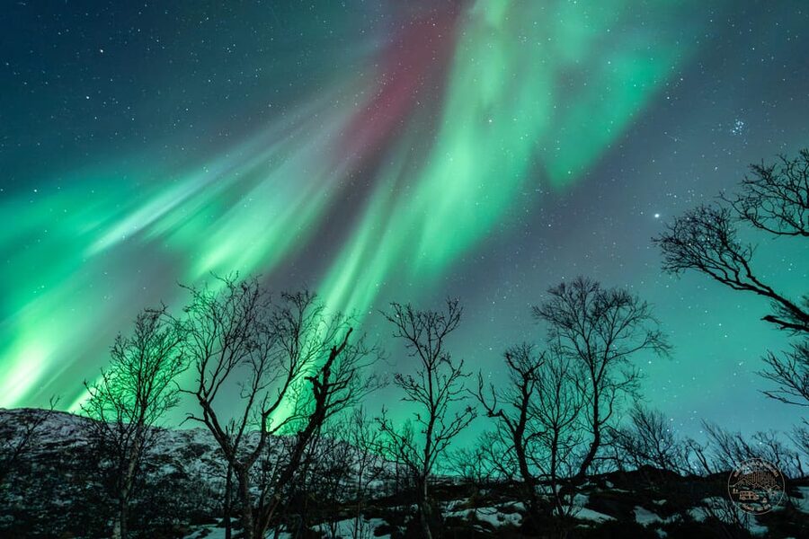 Tromsø: Northern Lights Photography Small-Group Tour - Choosing a remote camp by the sky
