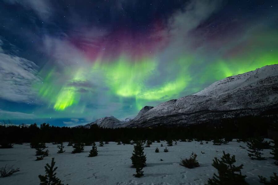 Tromsø: Northern Lights Photography Tour - How the photography portion works