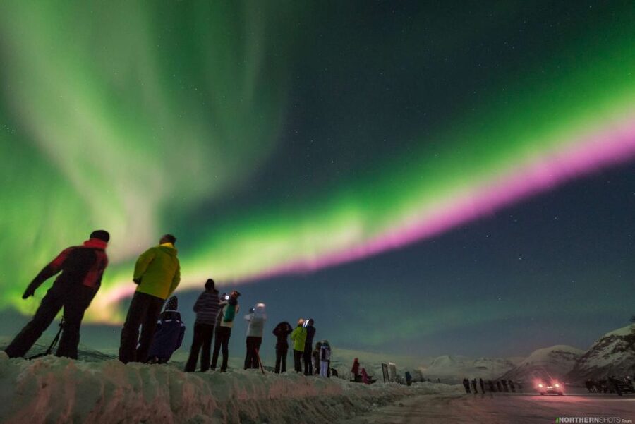 Tromso: Northern Lights Photography Tour by Bus (or miniBus) - What happens at the viewing stop