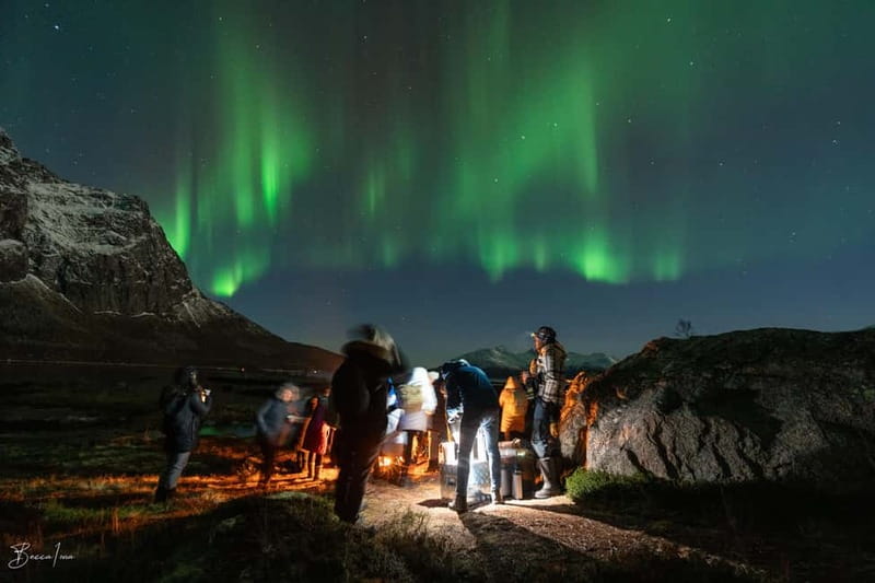 Tromsø: Northern Lights Safari - Key points before you book