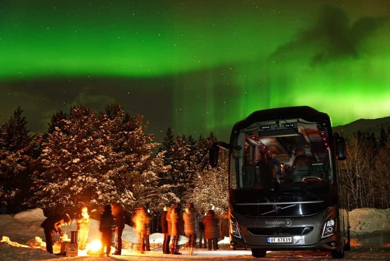 Tromsø: Northern Lights Safari - When the guides keep looking