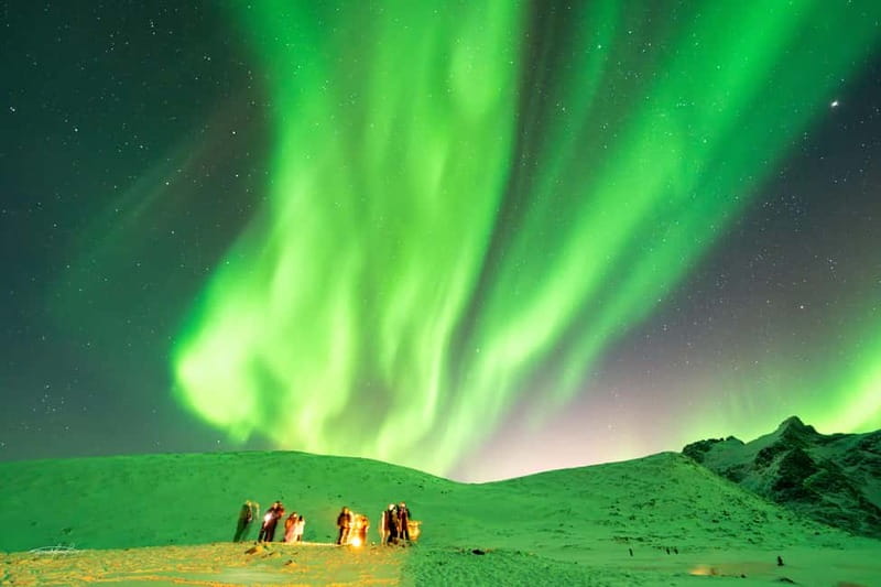 Tromsø: Northern Lights Safari - What $146 gets you
