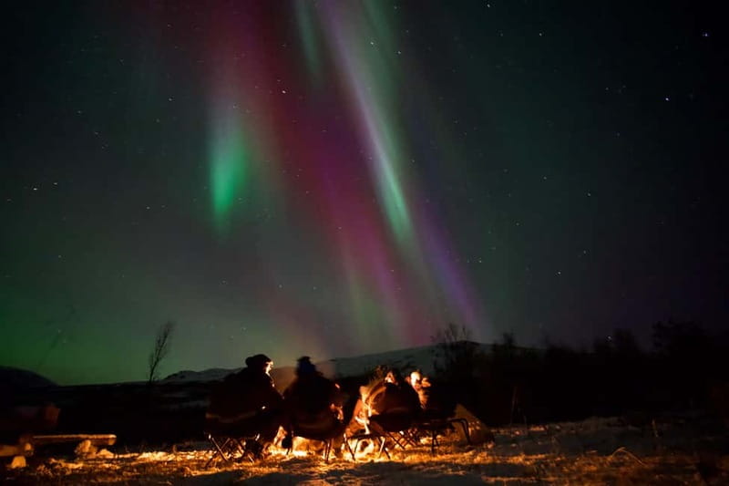 Tromsø: Northern Lights Tour - Setting out from Scandic Ishavshotel