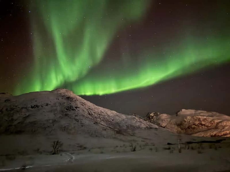 Tromsø: Northern Lights Tour - Free photos and the memory of the night