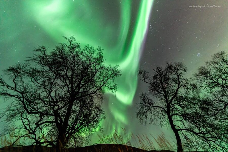Tromsø: Northern Lights Tour w/Photo, Suits and Local Guide - The photography: what you will receive