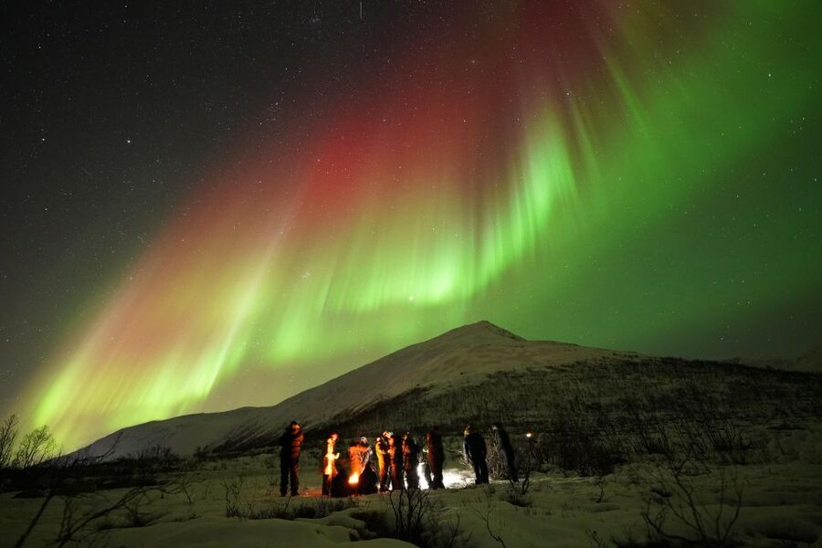 Tromsø: Northern Lights Tour with Free Professional Portrait - Key points to know before booking
