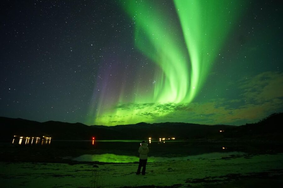 Tromsø: Northern Lights Tour with Free Professional Portrait - What the $181 price really covers