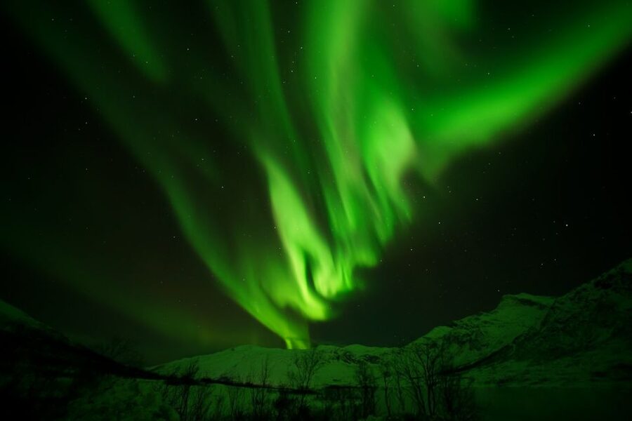 Tromsø: Northern Lights Tour with Free Professional Portrait - Who should book, and who should think twice