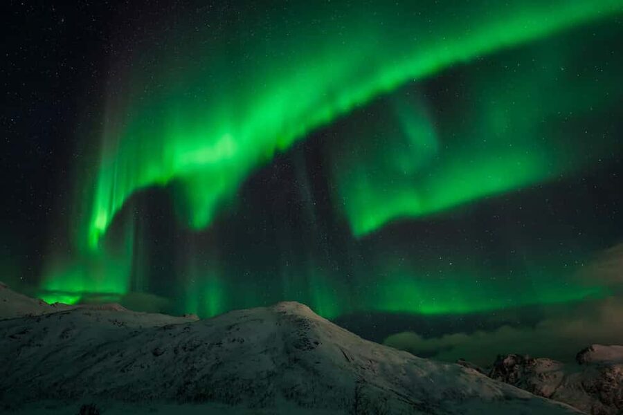 Tromsø: Northern Lights Tour with Guaranteed Sightings - The value of $274 per person