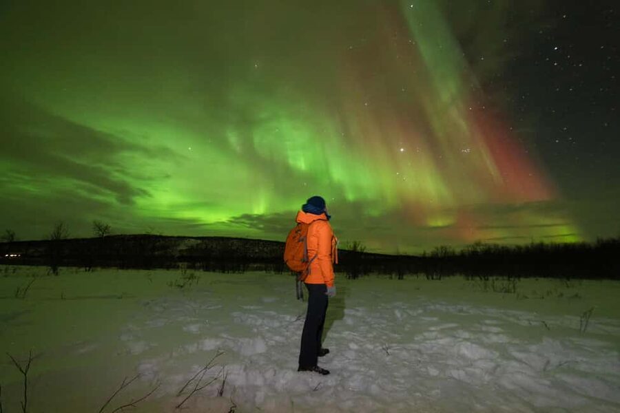 Tromsø: Northern Lights tour with local experts - Why the guide matters more than the forecast