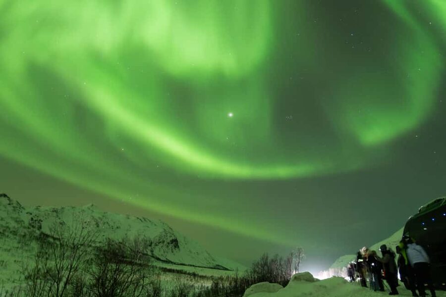 Tromsø: Northern Lights tour with local experts - Weather, driving, and the 50% second-chance offer