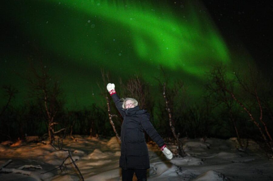 Tromsø: Northern Lights Tour with Local Guide and Photos - Waiting under the stars, with cake and brunost