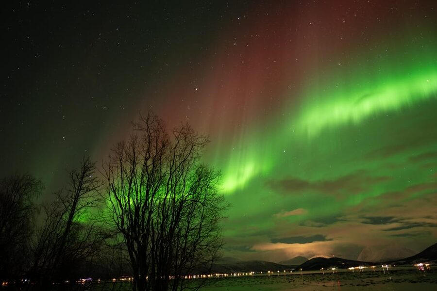 Tromsø: Northern Lights Tour with Local Guide and Photos - The best and hardest parts of the itinerary