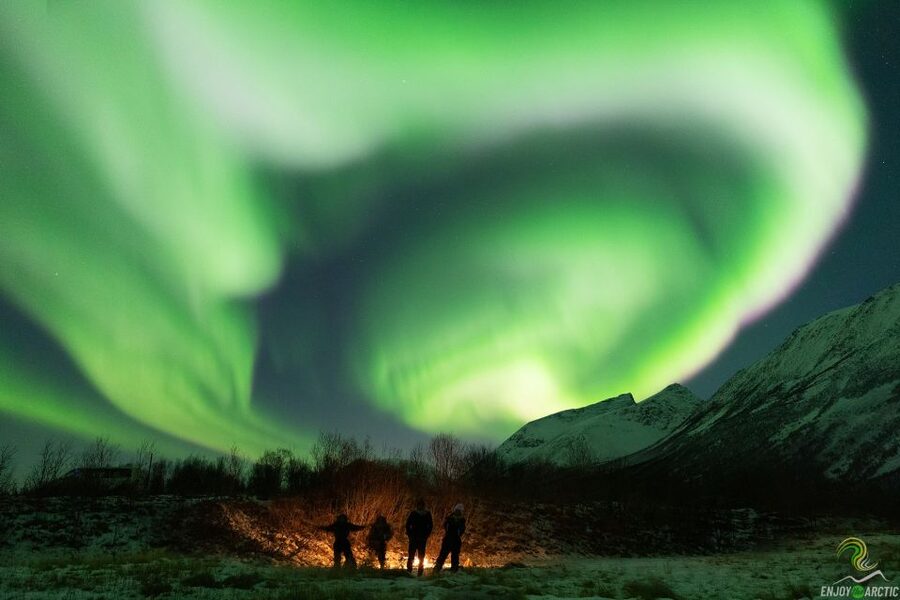 Tromsø: Northern Lights Trip with Campfire and Snacks - Key points at a glance