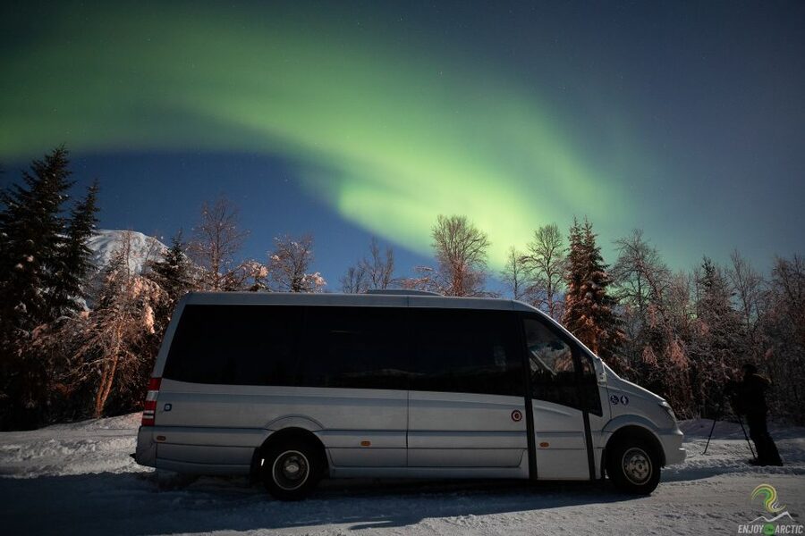 Tromsø: Northern Lights Trip with Campfire and Snacks - A campfire, carrot cake, and hot drinks in the cold