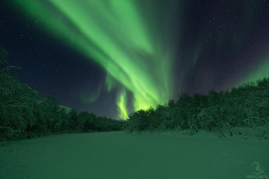 Tromsø: Northern Lights Trip with Campfire and Snacks - Learning to photograph the aurora