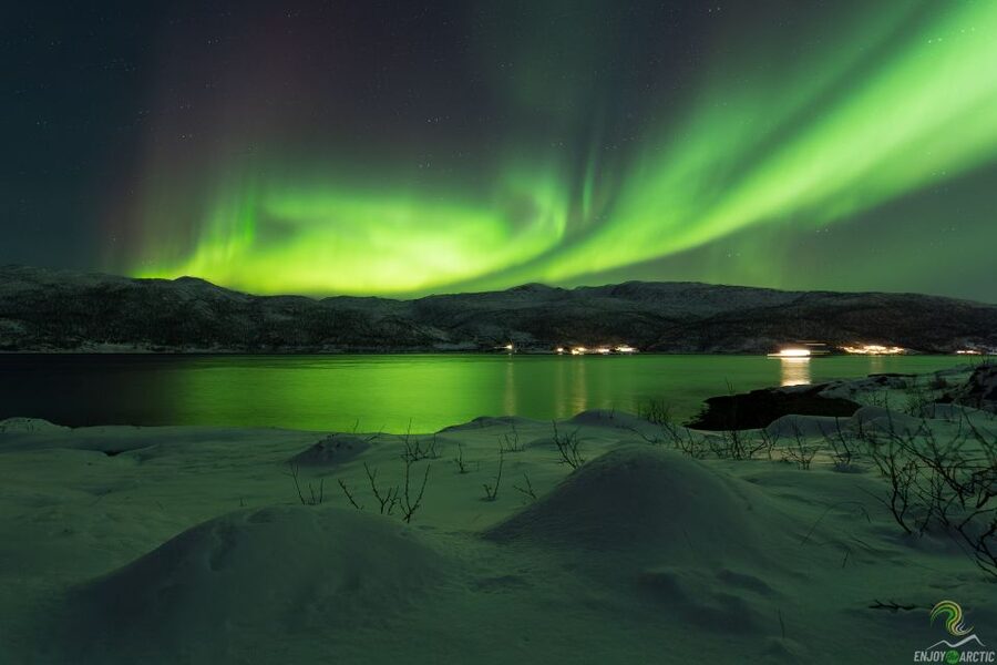 Tromsø: Northern Lights Trip with Campfire and Snacks - The minibus ride and the price of $150