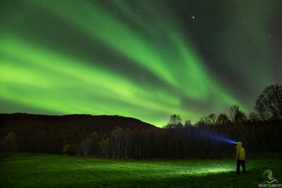 Tromsø: Northern Lights Trip with Campfire and Snacks - Finding the lights with Alan, Andrei, and the team