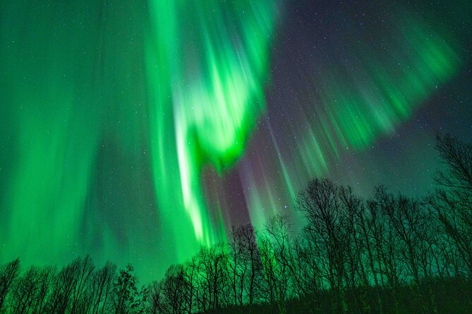 Tromsø Northern Lights with Campfire and Professional Photos - Reindeer sausages, chai, and the value of a warm pause