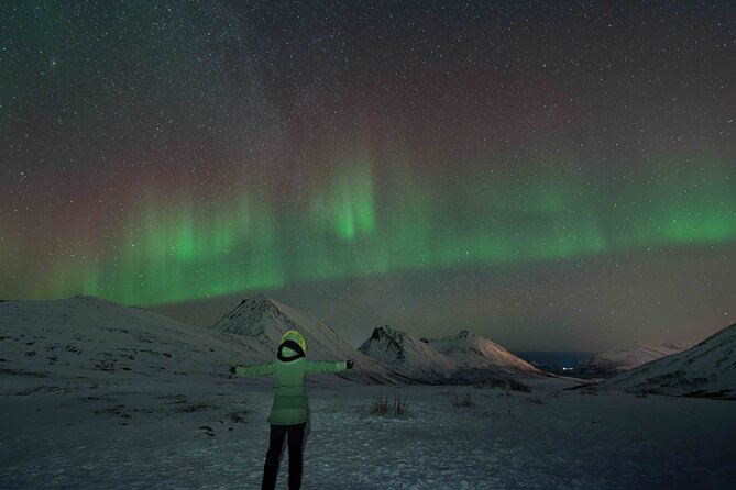 Tromsø Northern Lights with Campfire and Professional Photos - Who will enjoy this most