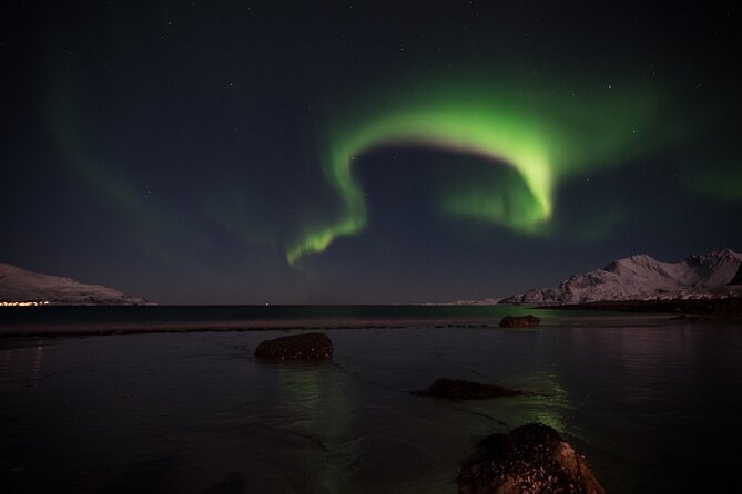 Tromsø Norway - Small Group Aurora Hunt Tour with a local guide - What the $288.34 price means