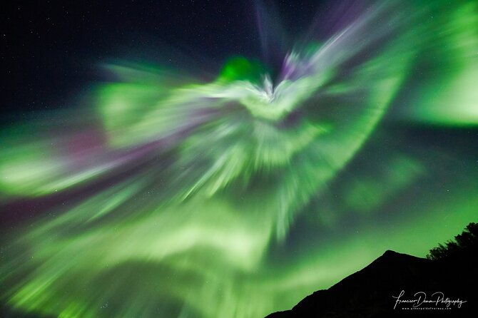 Tromso: Private Aurora Chase by Minivan - Guides who make the cold night easier