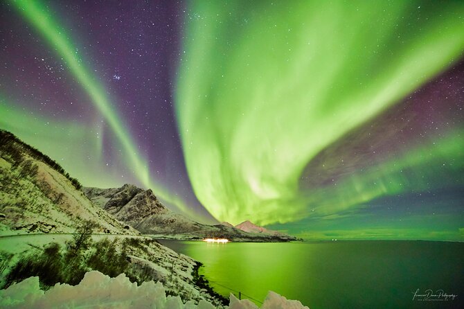 Tromso: Private Aurora Chase by Minivan - Photography help and the value of a tripod