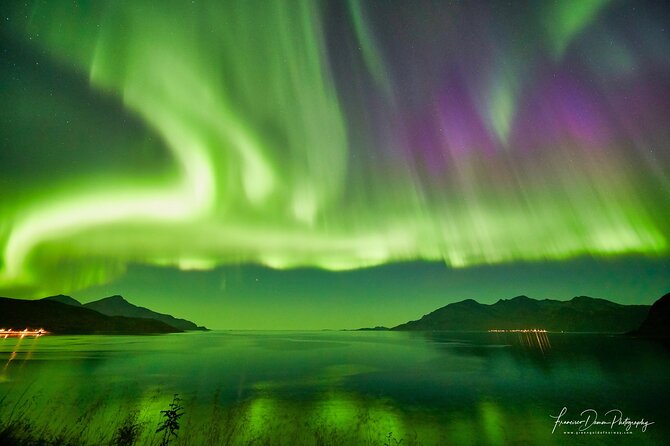 Tromso: Private Aurora Chase by Minivan - Warm boots, clothing, coffee, and muffins
