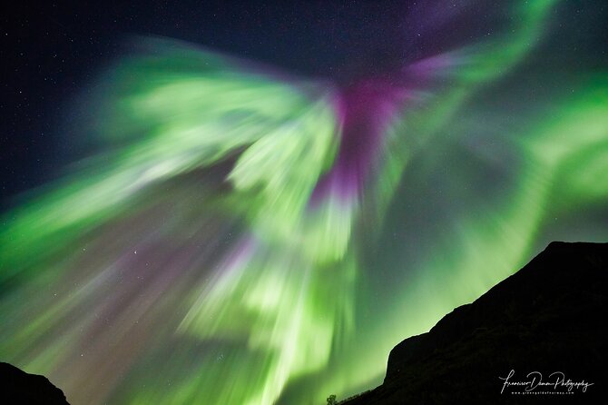 Tromso: Private Aurora Chase by Minivan - Chasing clear skies around the Tromso fjords